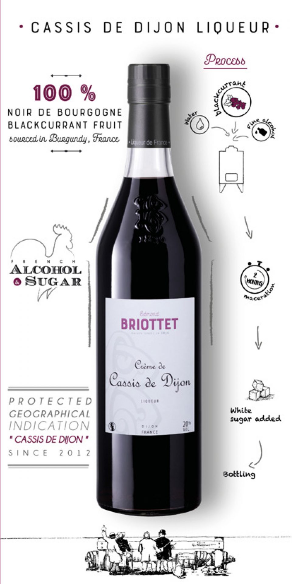 Fir tree Liqueur - Maison Briottet - Crème de Cassis de Dijon et liqueurs  haut de gamme