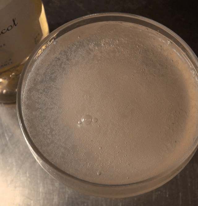 recette cocktail parker 75 avec liqueur d'abricot champagne et gin