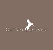 cheval-blanc-palace-hotel-bar-paris-france