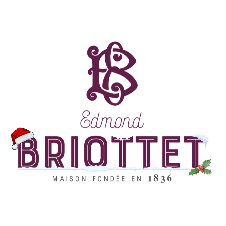 Logo de la maison briottet avec bonnet de noël et neige