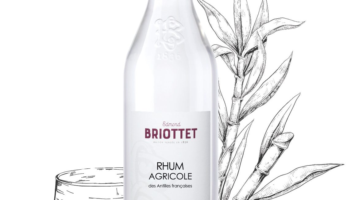 Bouteille en verre transparente, verre avec glaçon et illustration de canne à sucre