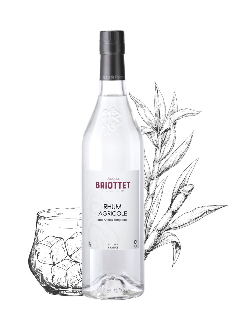 Bouteille en verre transparente, verre avec glaçon et illustration de canne à sucre